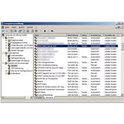 Collect Server SCA - Datenerfassungssystem